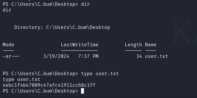 user.txt captured.