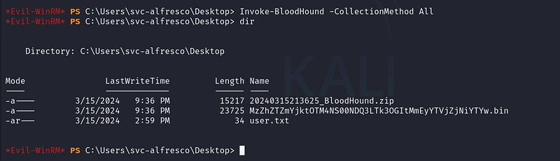 Figure 9. Running Invoke-BloodHound with the All collection method.