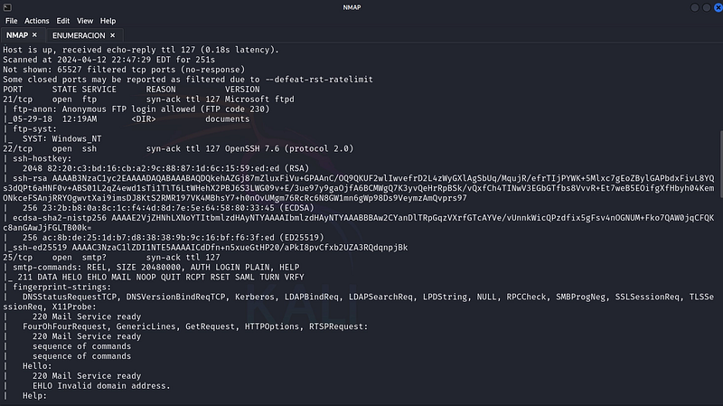 Figure 1. Full nmap scan: anonymous FTP, an SMTP mail service, and other Windows services are exposed.