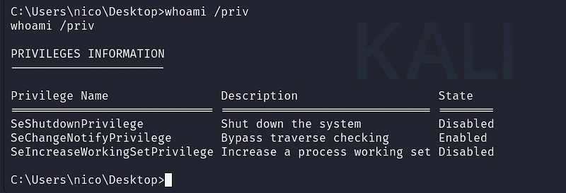 Figure 12. Interactive shell obtained as the user nico.